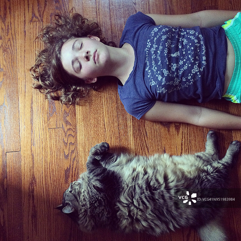 缅因猫和小女孩午睡图片素材