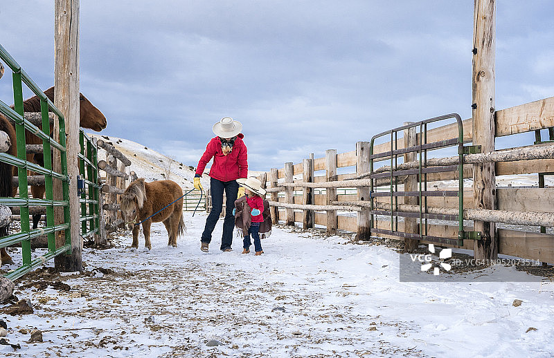 可爱小女孩、迷你马和母亲在牧场图片素材