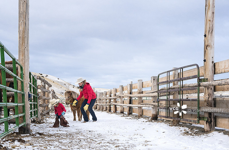 可爱小女孩、迷你马和母亲在牧场图片素材