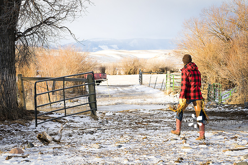 女牧场主关闭蒙大拿州农场的牛门图片素材