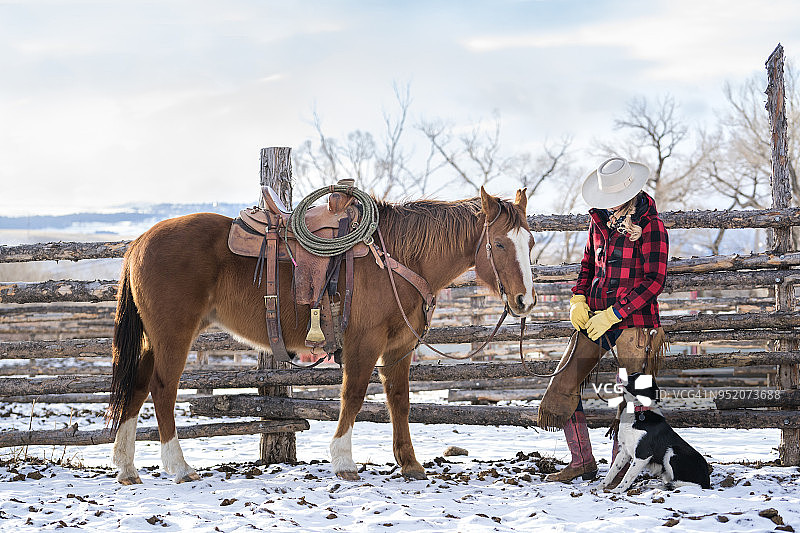 蒙大拿州牧场的女牧场主深情地抚摸着她的四分之一马图片素材