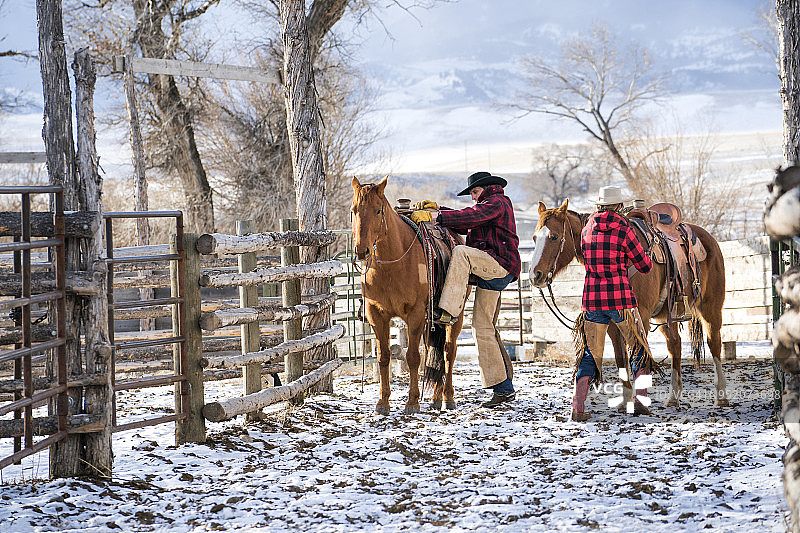 冬季蒙大拿州牧场上的牧场主和马匹图片素材