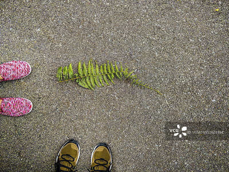 一片落叶和一对在路上向下看的情侣图片素材