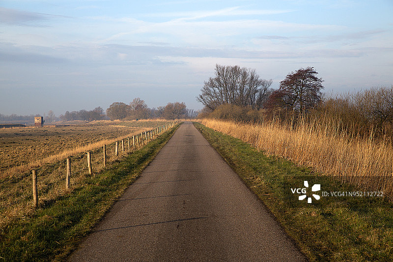 荷兰比斯博斯国家公园的笔直道路图片素材