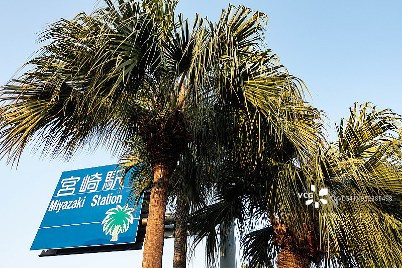 日本宫崎市的棕榈树和宫崎站图片素材