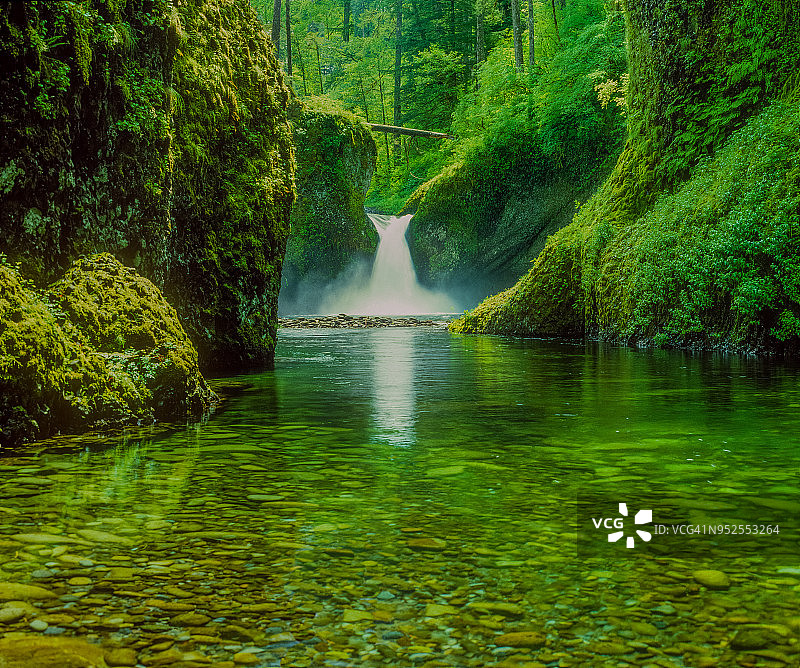 哥伦比亚河峡谷国家风景区中的冲碗瀑布，位于俄勒冈州鹰溪图片素材