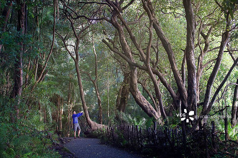 男子在树林间的小路上用手机拍照图片素材