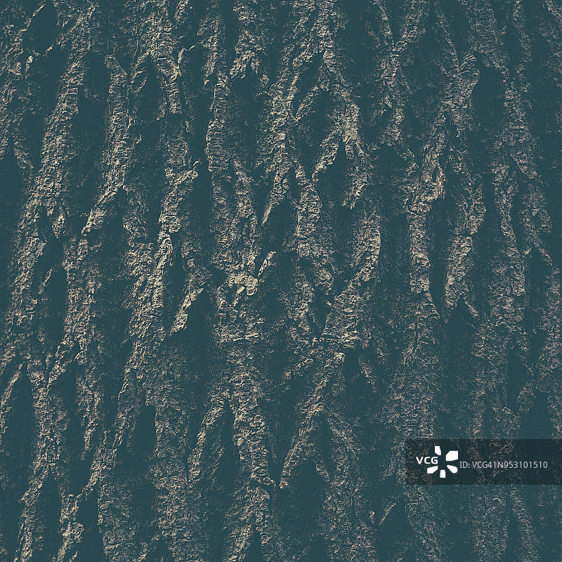 树皮特写图片素材