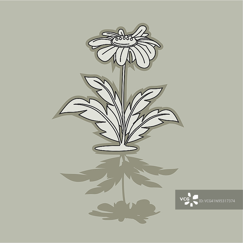 玛格丽特轮廓图片素材