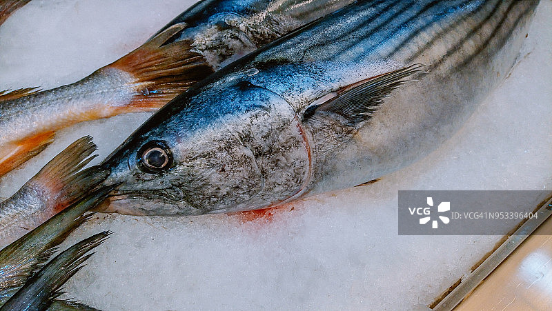 新鲜鱼排图片素材