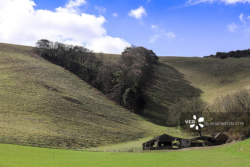 南唐斯丘陵上V形树丛图片素材