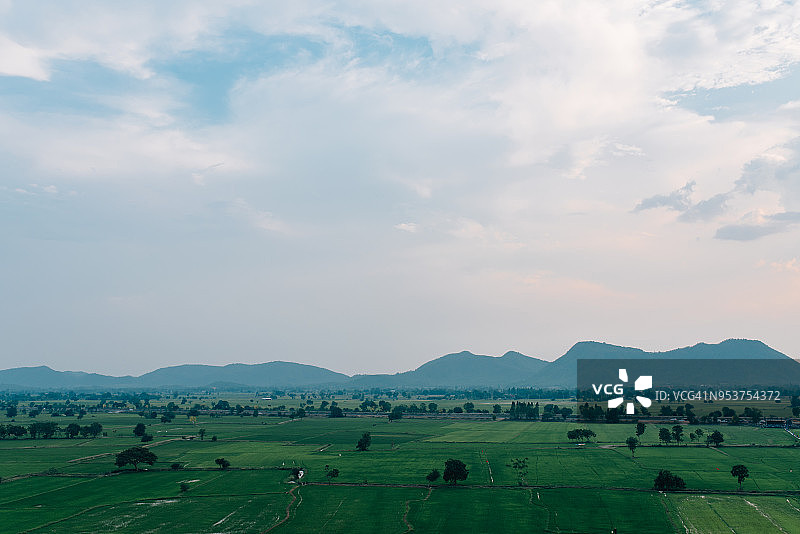 日落时分的稻田图片素材