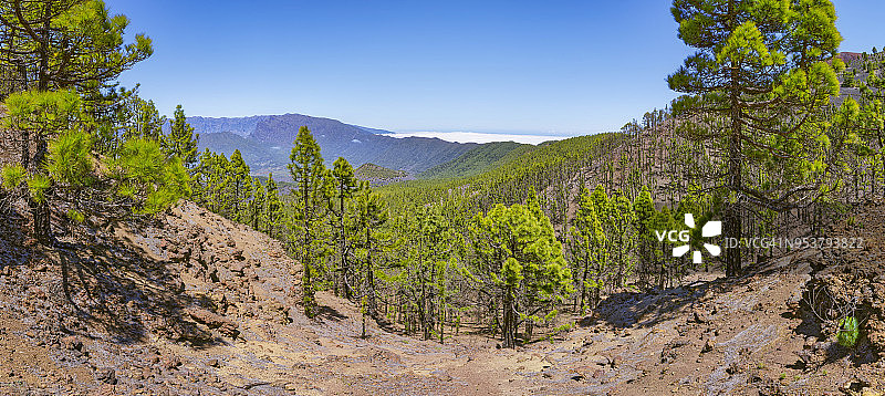 火山之路：卡尔德拉·德塔布里恩特国家公园，位于西班牙圣克鲁斯-德特内里费省的加那利群岛拉帕尔马岛图片素材