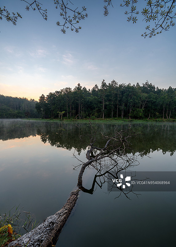 日出前森林倒影的静谧池塘景色图片素材