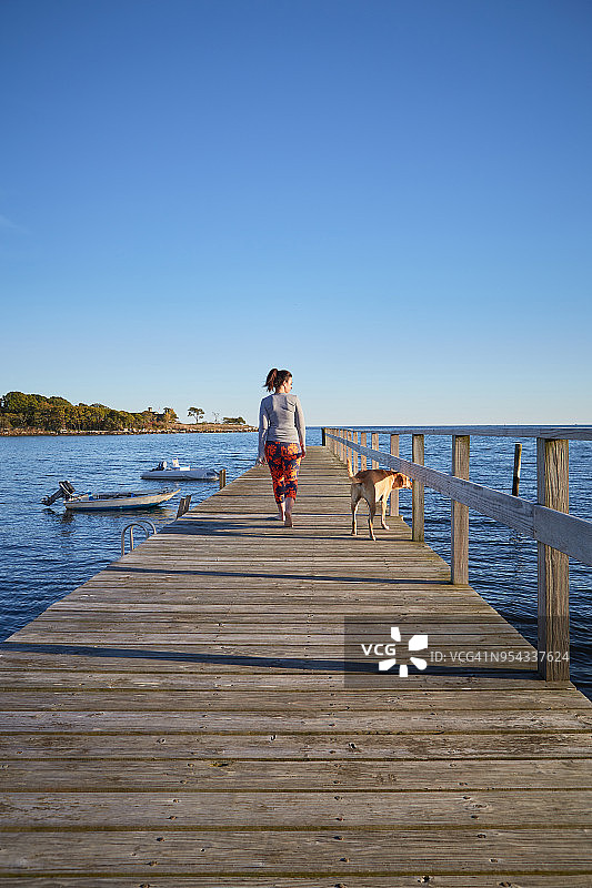 在码头遛狗图片素材