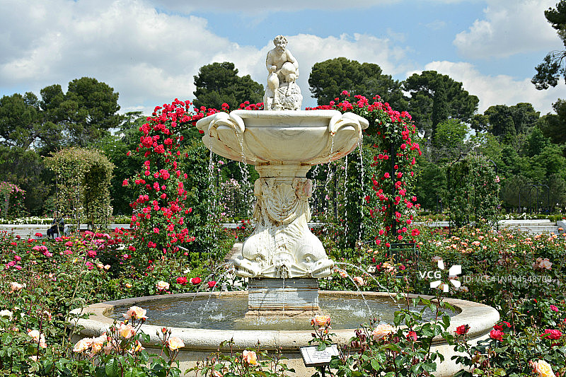 马德里丽池公园玫瑰园图片素材