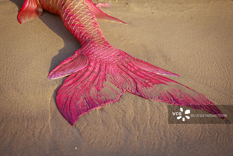 海滩上美丽的粉色美人鱼尾巴，西澳大利亚北滩的梅塔姆水池图片素材