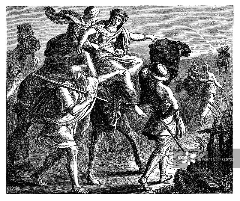 骆驼旅行图片素材