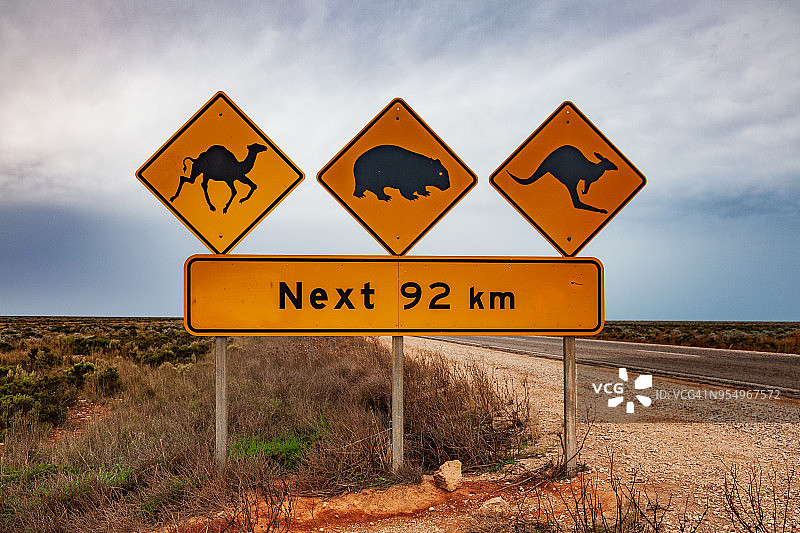 道路标志警告：穿越纳拉伯平原时，注意骆驼、袋熊和袋鼠。南澳大利亚艾尔高速公路图片素材