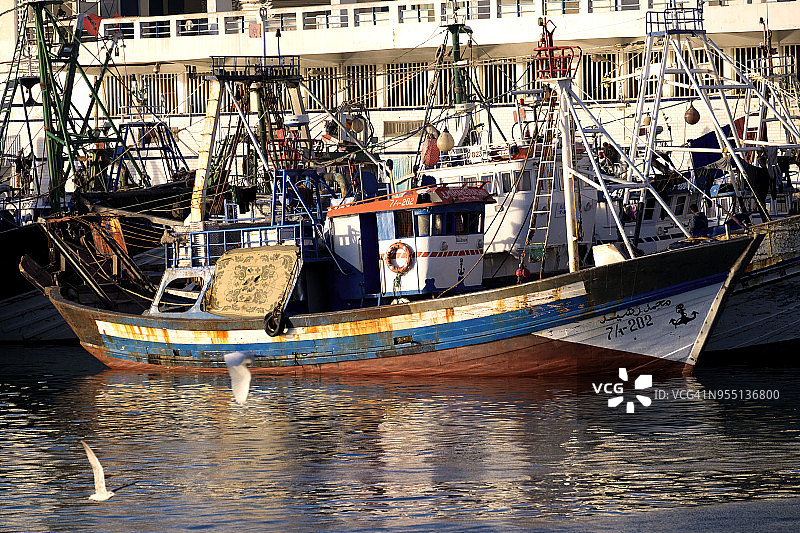 卡萨布兰卡港口的渔船图片素材