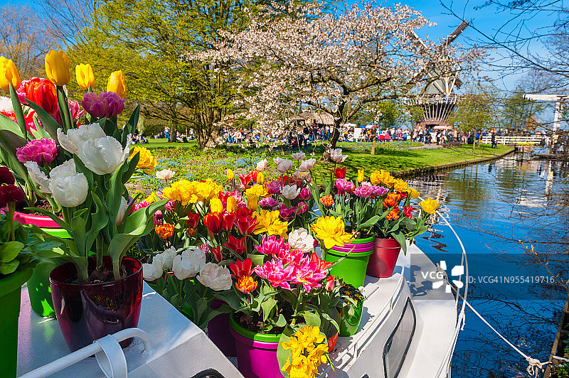 荷兰库肯霍夫花园中带有花盆的船只图片素材