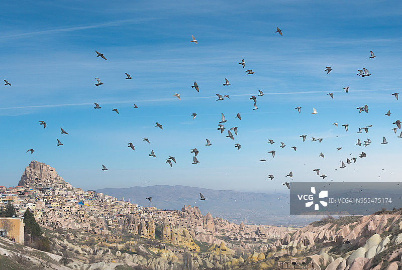 土耳其卡帕多奇亚鸽子谷，一群鸽子朝单一方向飞图片素材