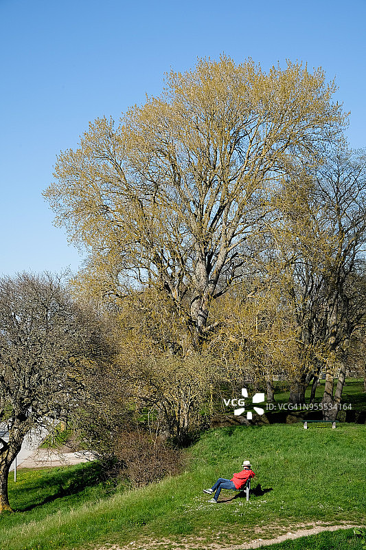 春天，一个男人坐在维斯比公园的长椅上，周围都是大树图片素材