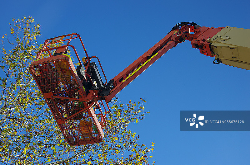 树冠附近的建筑起重机吊篮图片素材