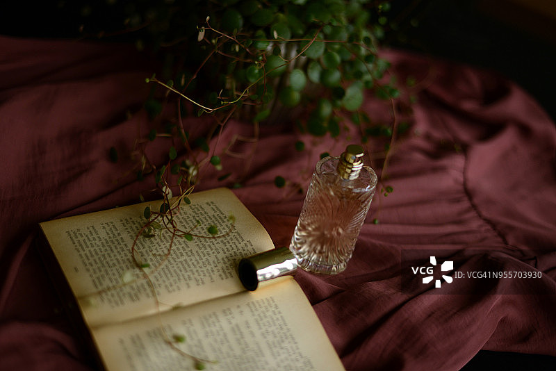 香水瓶、绿色植物与打开的书本图片素材