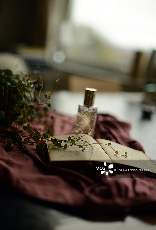 香水瓶、绿色植物和翻开的书图片素材