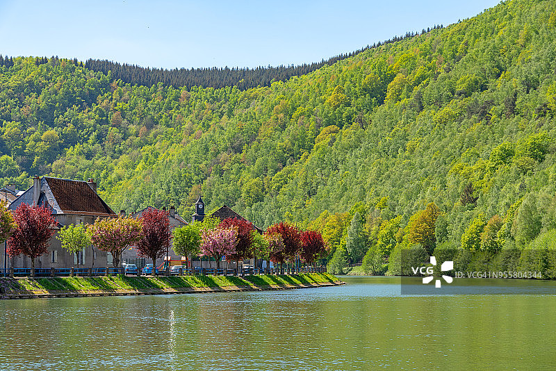 河边的彩色树木图片素材