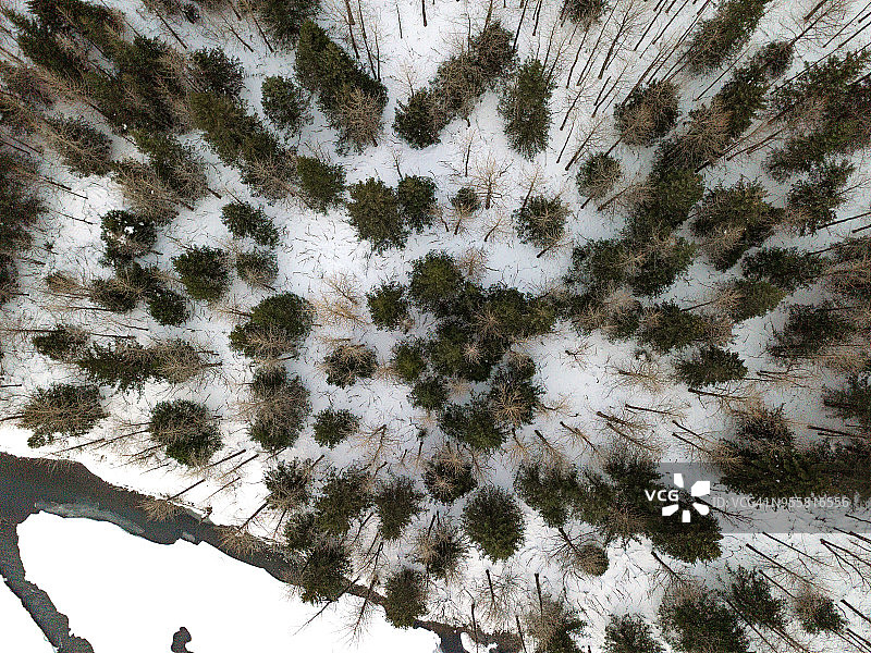 阿拉斯加冬季景观航拍图片素材