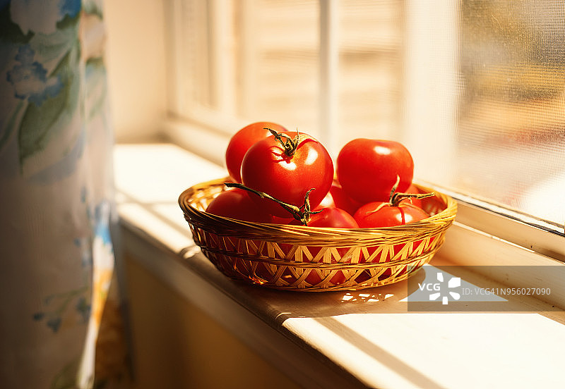 沐浴在阳光下图片素材