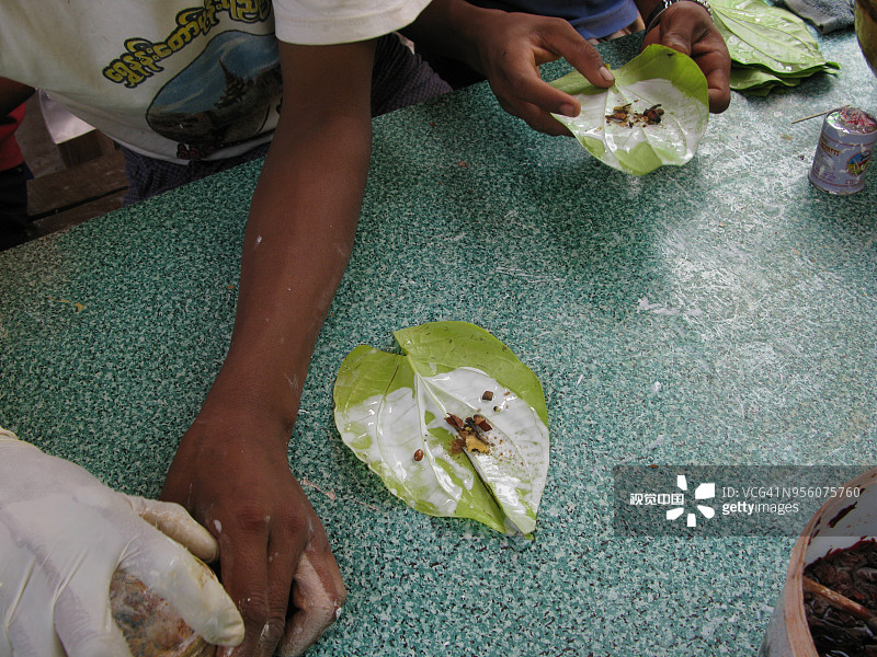 槟榔叶和槟榔的咀嚼制剂，产生显著的精神活性作用，缅甸图片素材