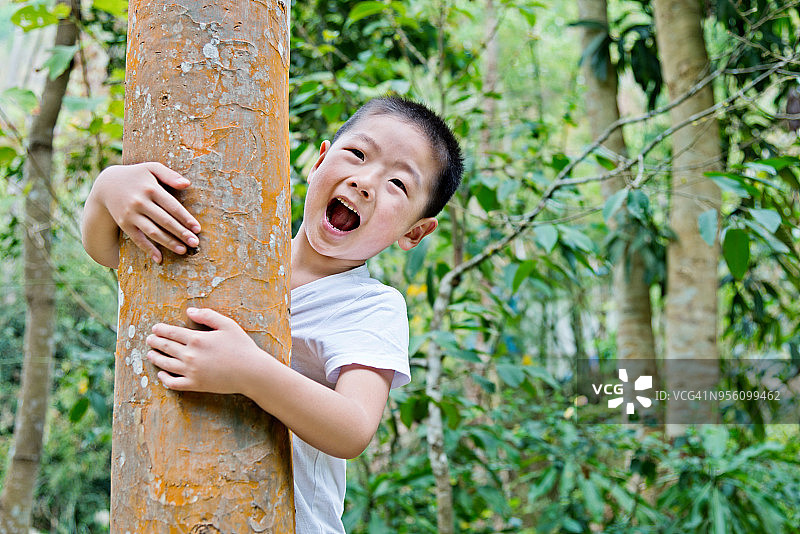 拥抱树木的小男孩图片素材