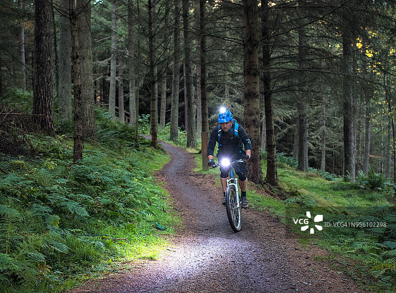黄昏森林山地自行车灯光图片素材
