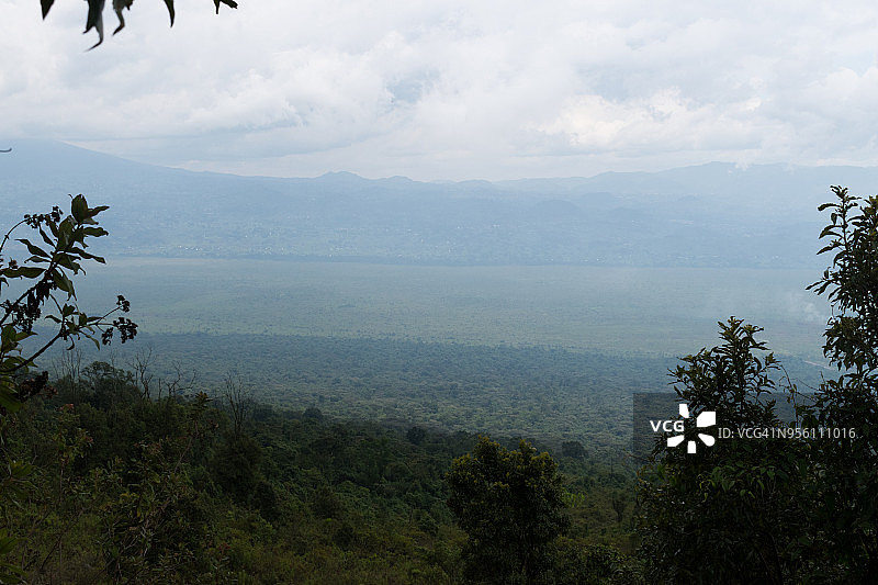尼拉贡戈火山上的植被图片素材