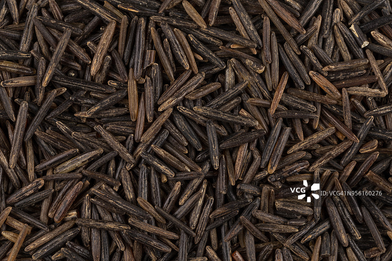 黑色野生稻米特写背景图片素材