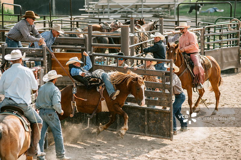 牛仔竞技比赛图片素材