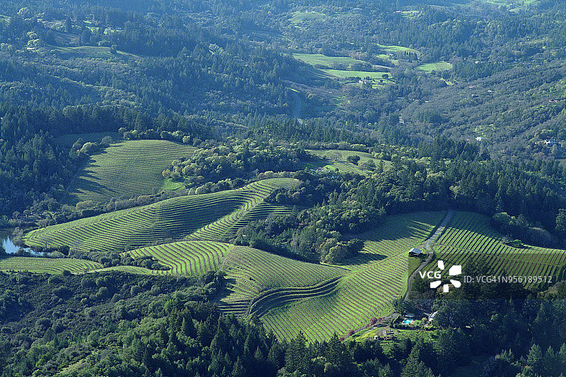 纳帕谷葡萄园图片素材