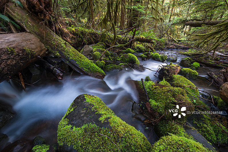 美国奥林匹克国家公园图片素材