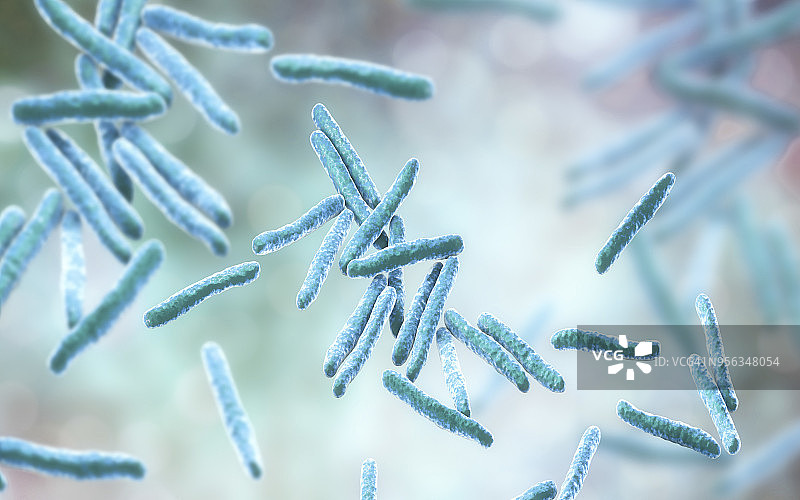 结核杆菌示意图图片素材