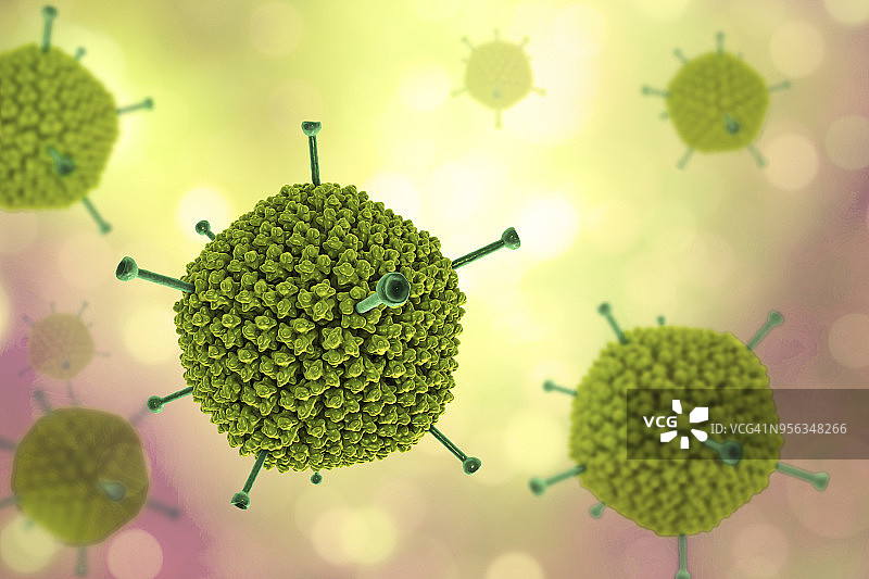 腺病毒结构示意图图片素材