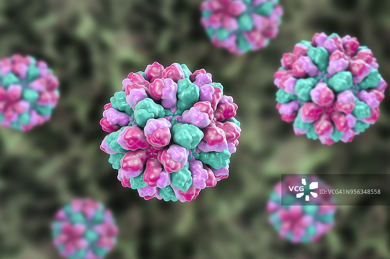 诺如病毒图示图片素材