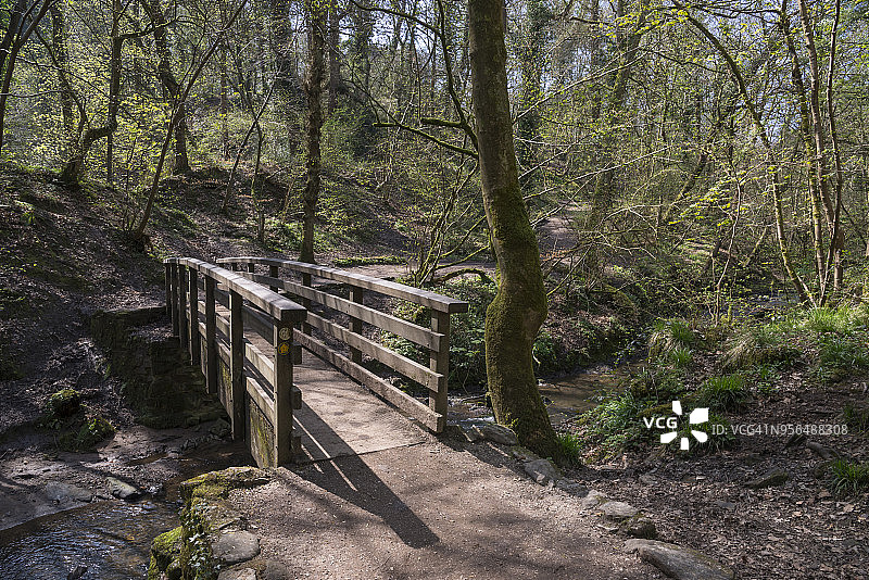 威尔士埃洛韦普雷乡村公园的树林人行天桥图片素材