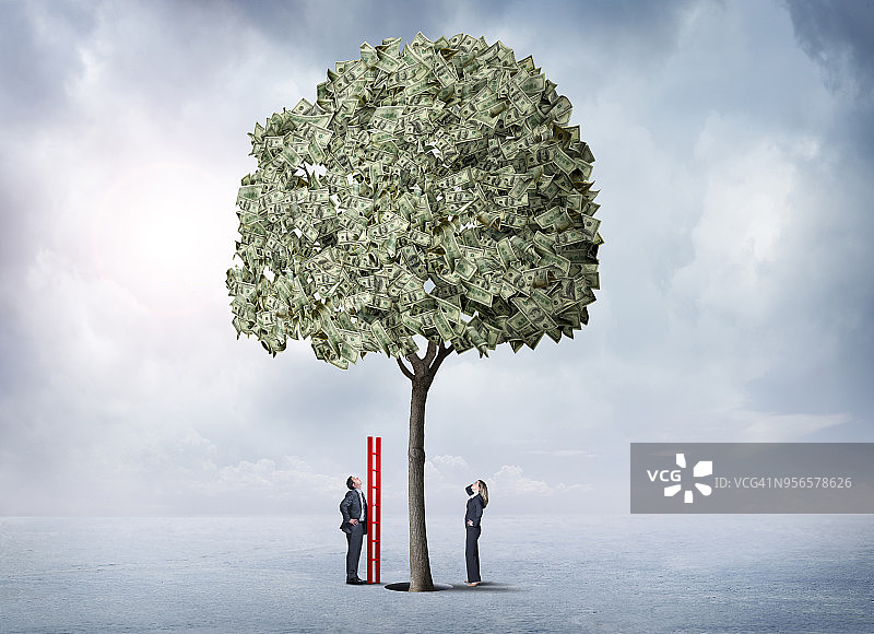 女商人和男商人拿着梯子仰望摇钱树图片素材