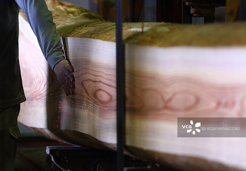 木材厂工人用带锯切割原木图片素材