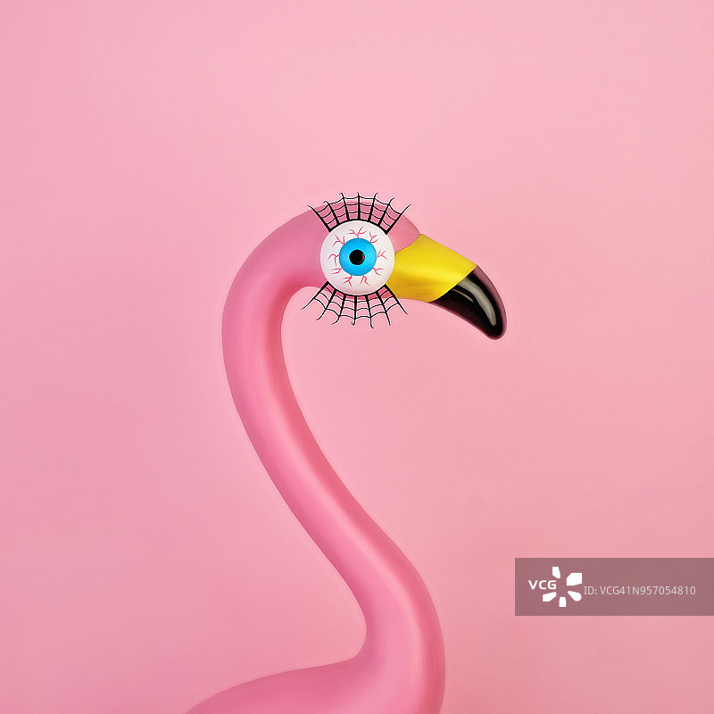 火烈鸟图片素材