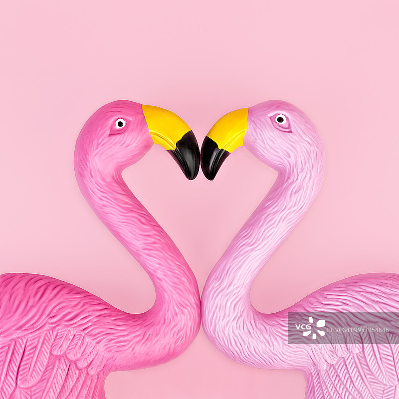 一对火烈鸟图片素材
