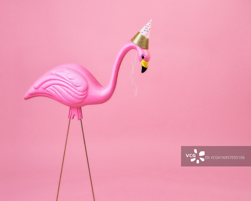 戴着派对帽的粉红火烈鸟图片素材